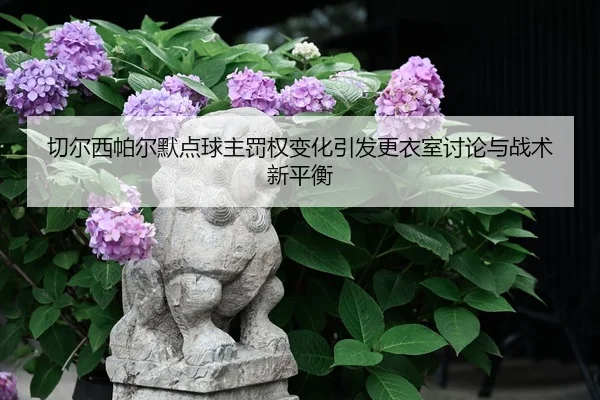 切尔西帕尔默点球主罚权变化引发更衣室讨论与战术新平衡