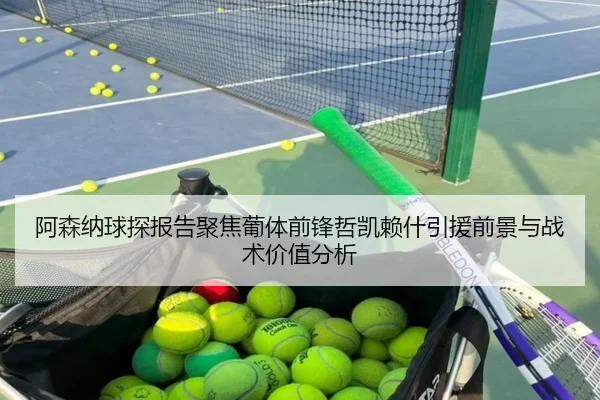 阿森纳球探报告聚焦葡体前锋哲凯赖什引援前景与战术价值分析 | leyu