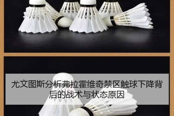 尤文图斯分析弗拉霍维奇禁区触球下降背后的战术与状态原因 | leyu