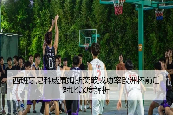 西班牙尼科威廉姆斯突破成功率欧洲杯前后对比深度解析 - leyu